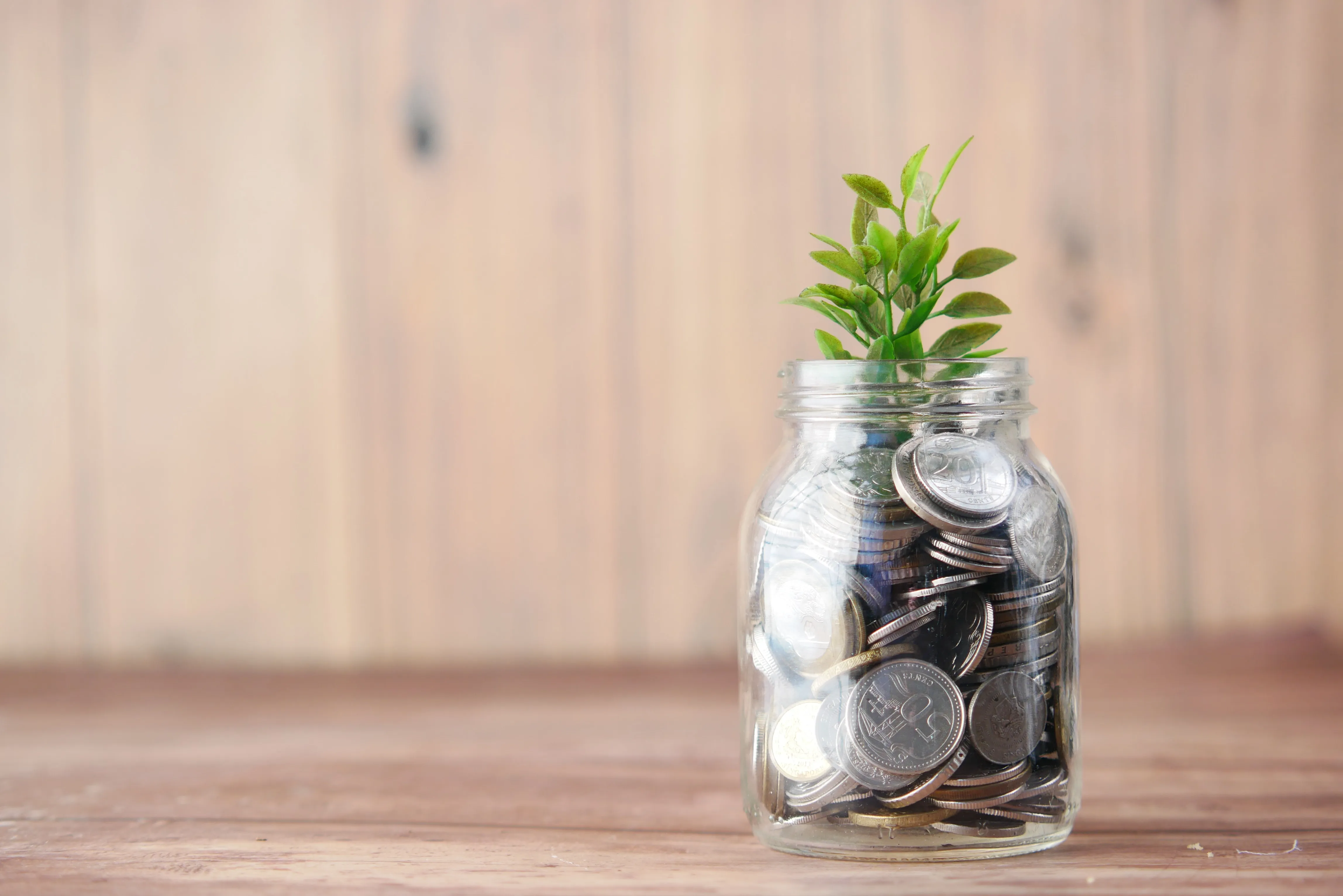 Image showing financial growth concept